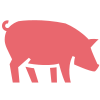 icone porcs charcutiers